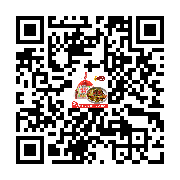 Product QR Code