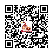 Product QR Code