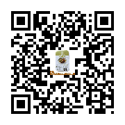 Product QR Code
