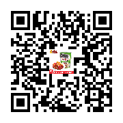Product QR Code