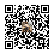 Product QR Code