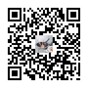 Product QR Code